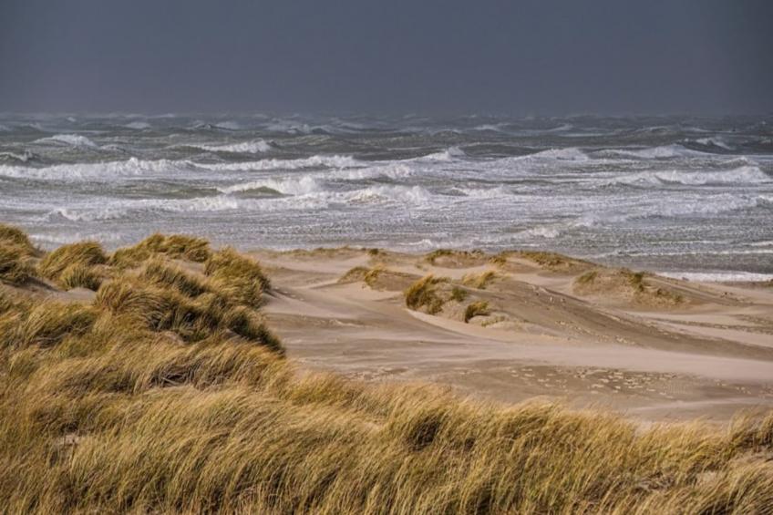Résidence Appartement Pour 4 Pers Avec Piscine, Tennis Et  Parking 56 - foto 40