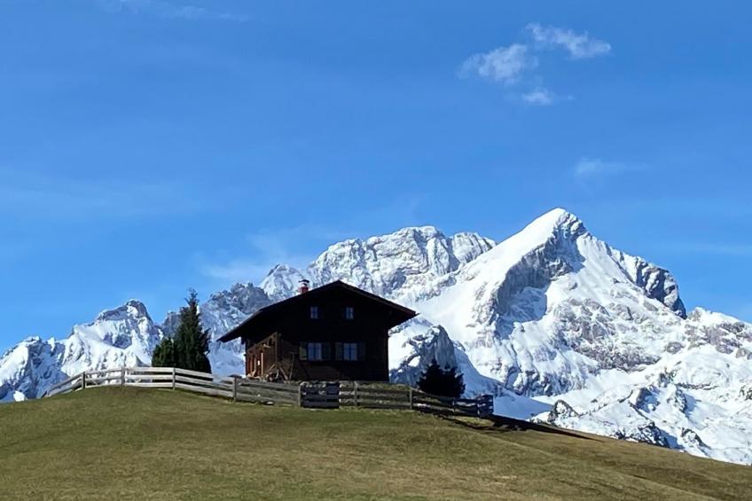 Haus Rosenwirth - foto 27