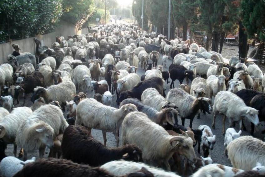 Wohnung mit allem Komfort Strand zu Fuß - foto 44