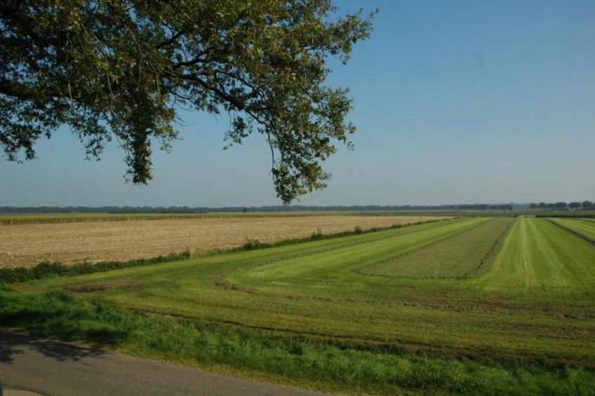 Ruischende Dennen - foto 34