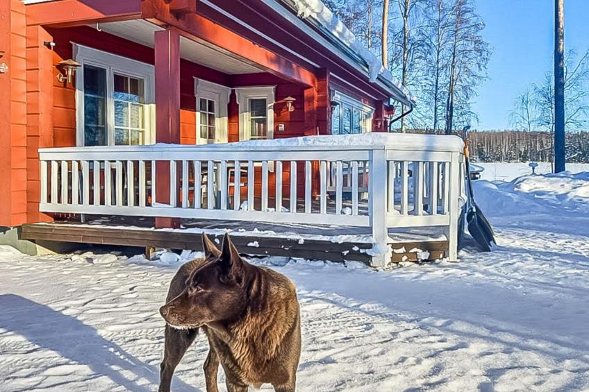 Kuikanranta, rantalan lomamökit - foto 23