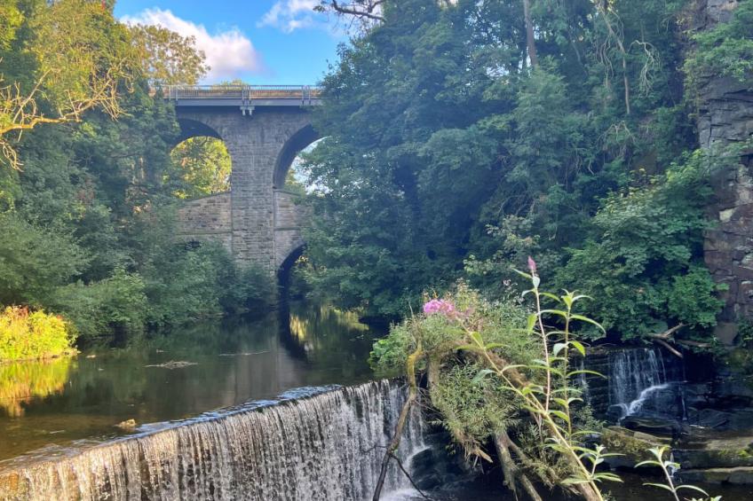 Suzy's Cottage - foto 5