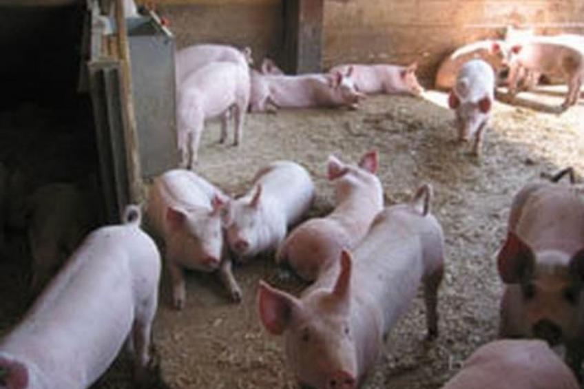 Leinacherhof - foto 16