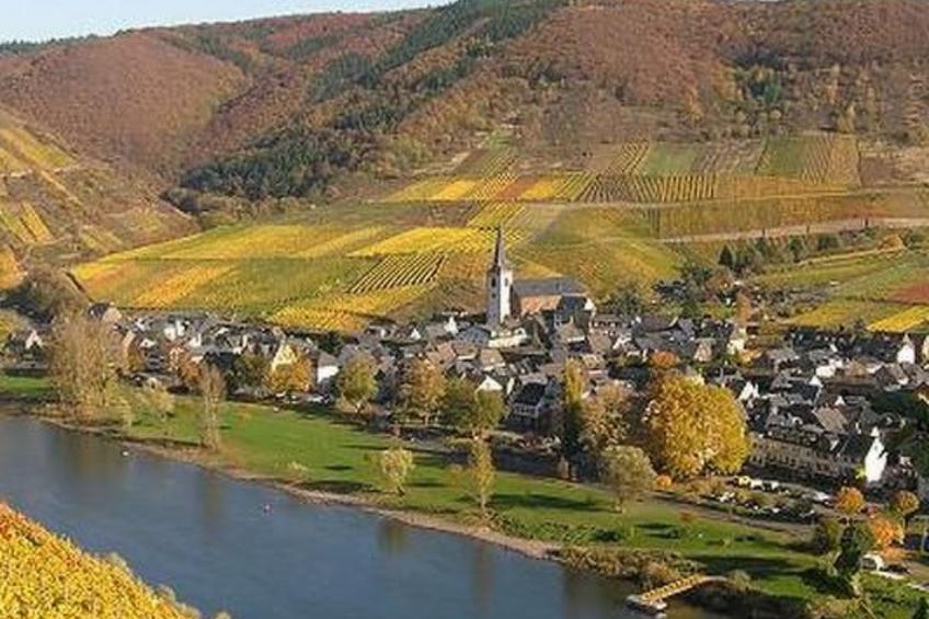 Moselwinzerhaus - foto 17