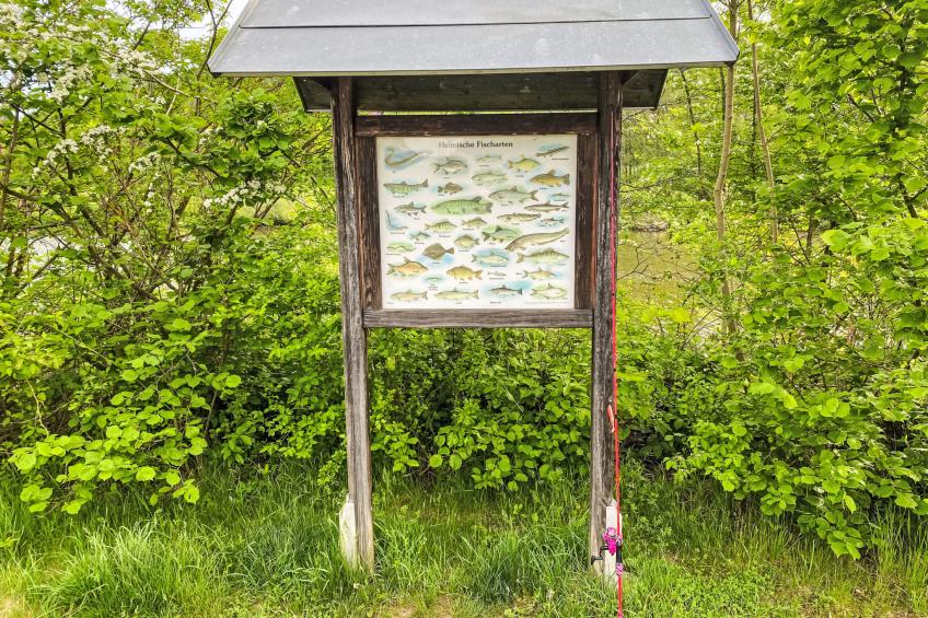 Tiny Haus Christas Angler-Oase - foto 25