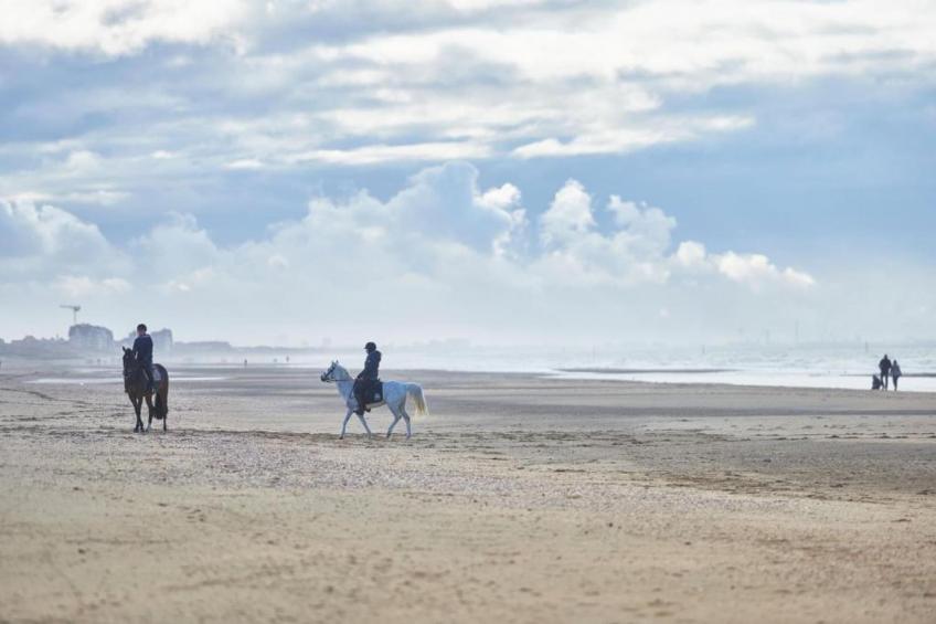 RESIDENTIE PICKWICK 0201 - foto 16