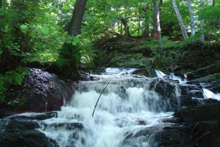 Holzhaus Andi - foto 18