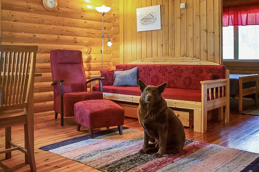 Kytöranta, rantalan lomamökit - foto 19