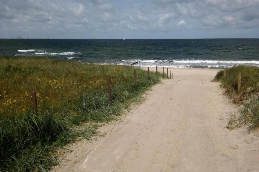 Mohnblume - foto 26