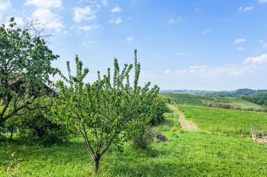 Casetta di Agnese - foto 14