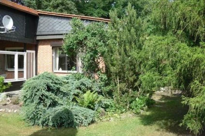 Elbe-Ilenpool -In Ruhe entspannen - foto 24