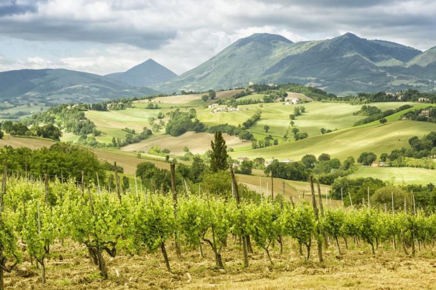 ♥️ ♥️ Ferienhaus Ca Piero - ein antikes Borgo (Dörfchen) OBJEKTPREIS für 20 Pe - foto 44