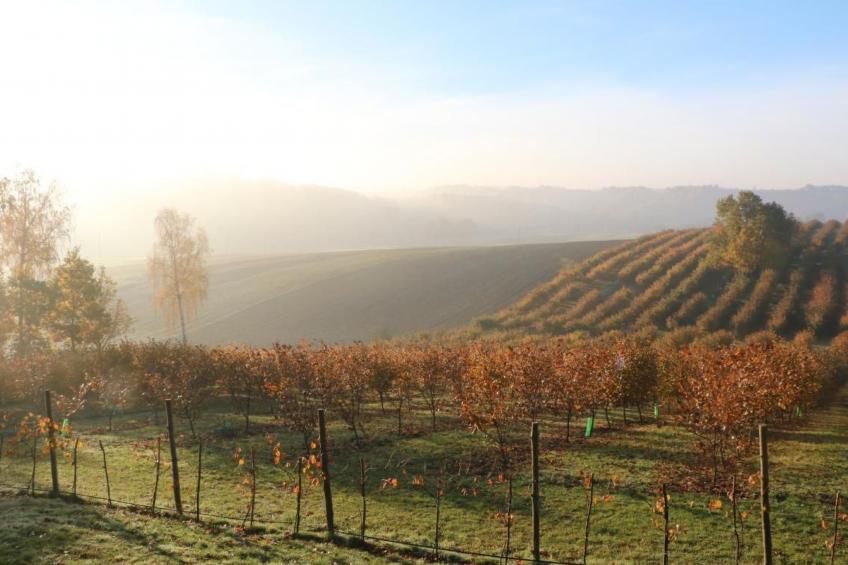 Villa mit gemeinschaftlichem Pool - foto 2