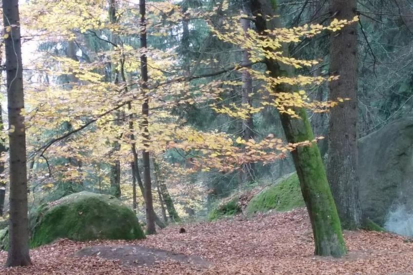 Appartement in Vordorfermühle mit Garten - foto 22