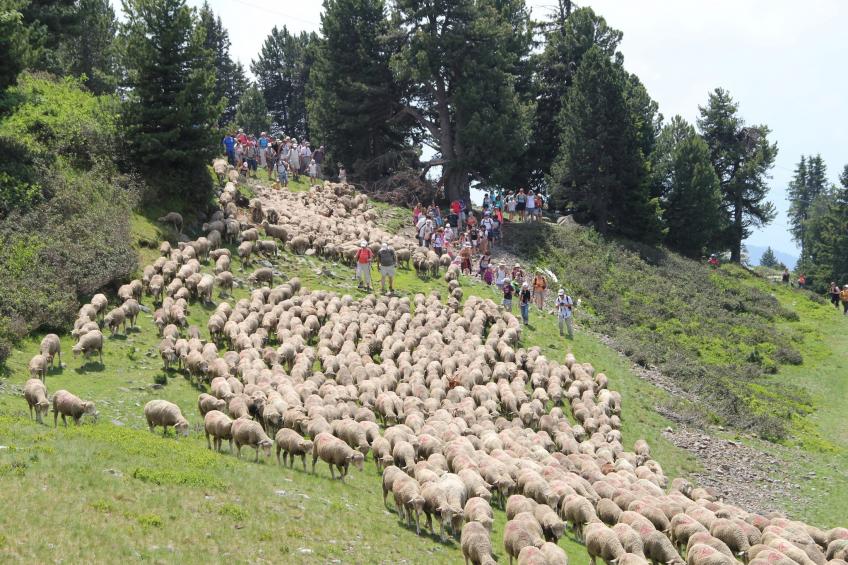 Vercors 1 035-FAMILLE & MONTAGNE appart. 6 pers