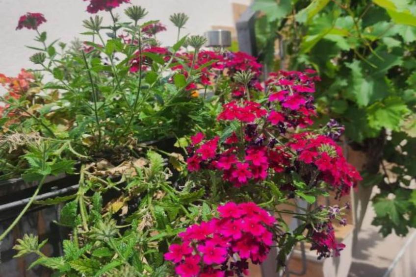 Deluxe City Escape with Modern Comforts & Garage - Double Room - foto 13