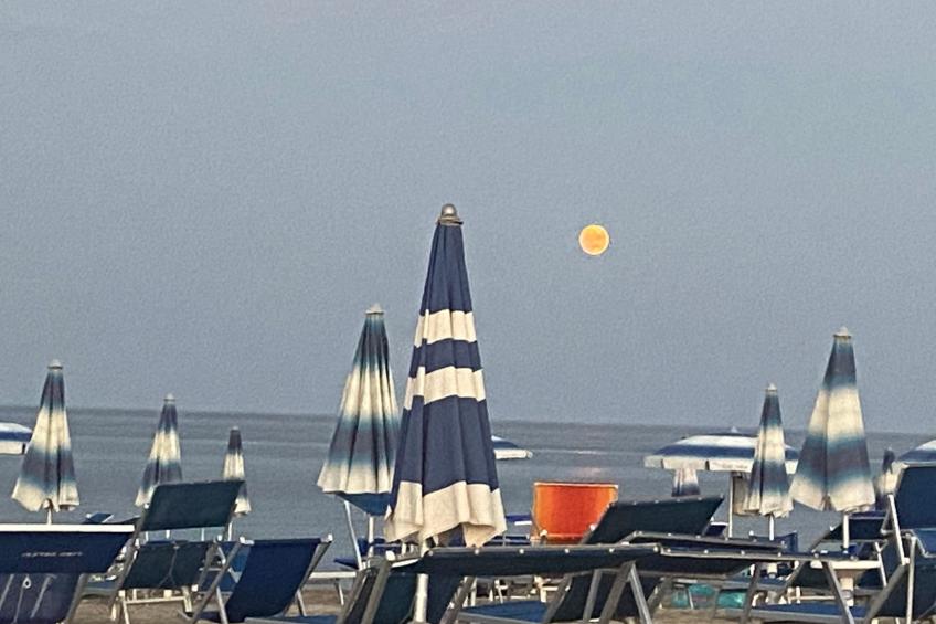 in Badolato Marina - foto 24