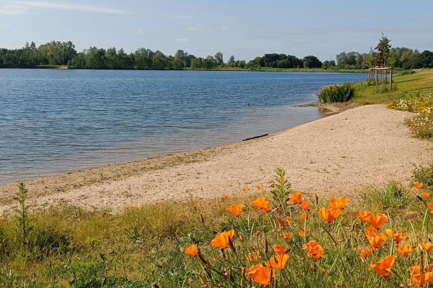 Coproyshof am See - foto 33