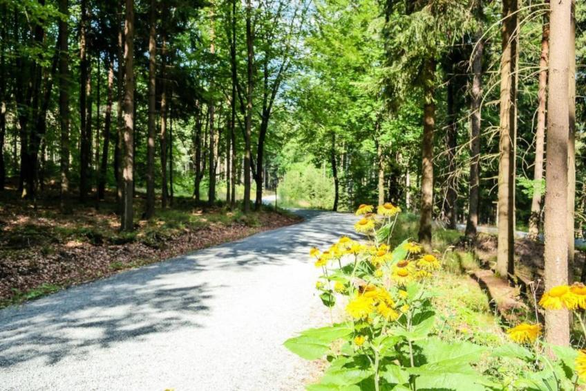 Bad Elster - foto 40