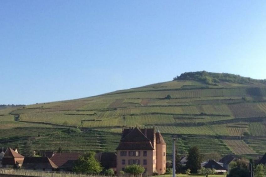 Unabhaengiges Ferienhaus in Soultzmatt mit Sonnigem Garten - foto 22