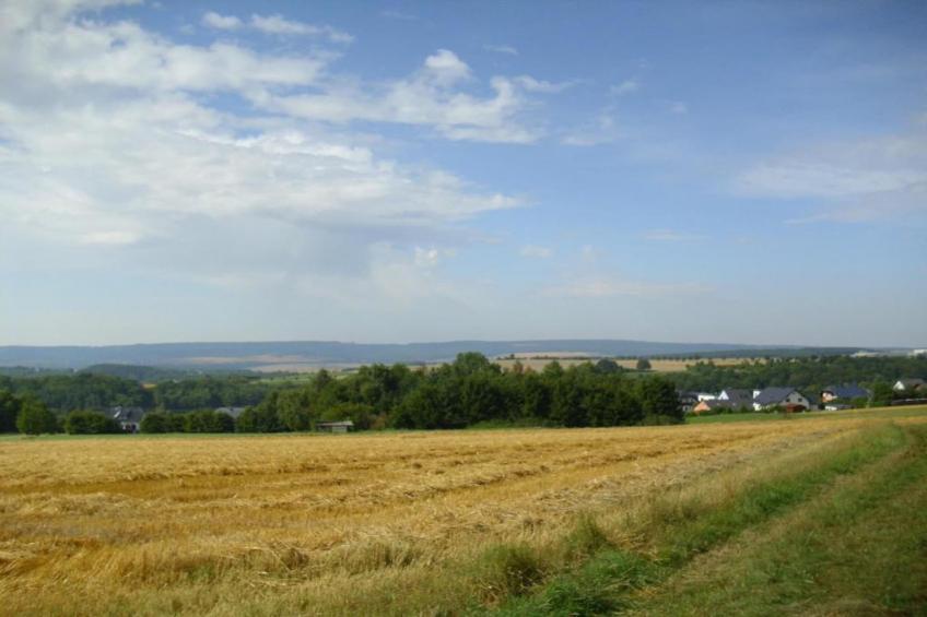 Hubertusstube - foto 28