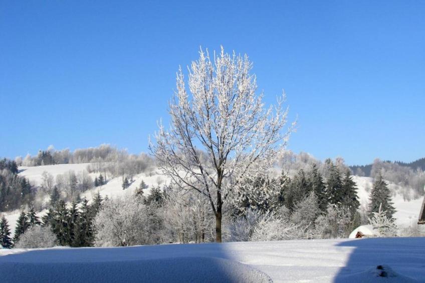 Luksusowa Willa w górach 200 m od wyciągu - foto 32