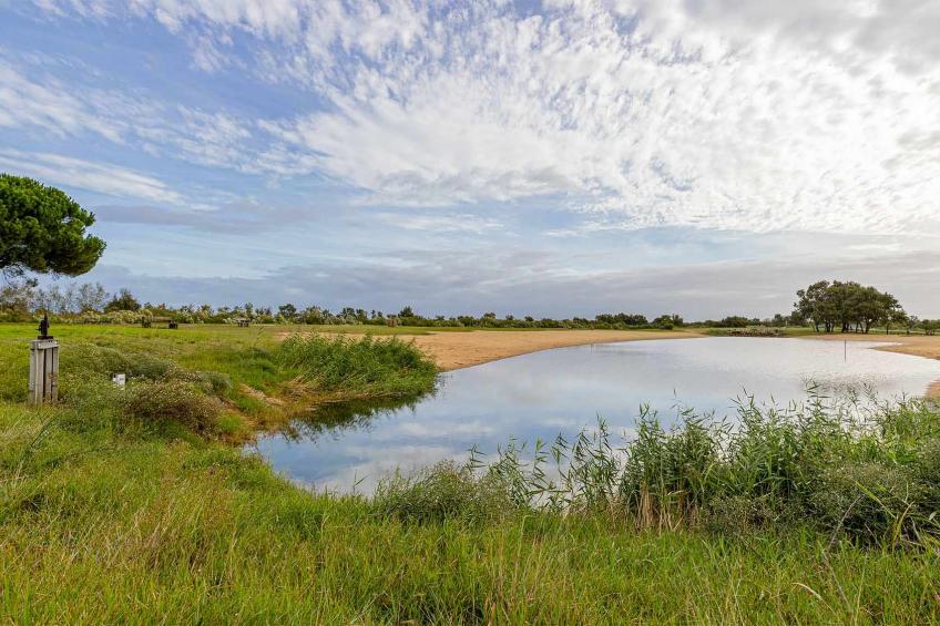 Le Teich 2p 4/5 - foto 25