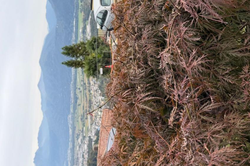 CASA GIALLA - foto 6