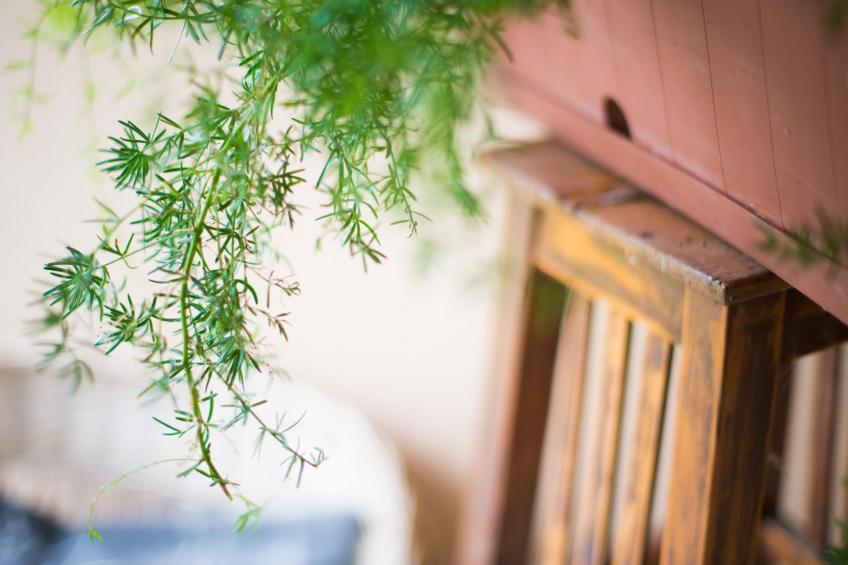 Appartement in Zasip mit Möblierter Terrasse - foto 37