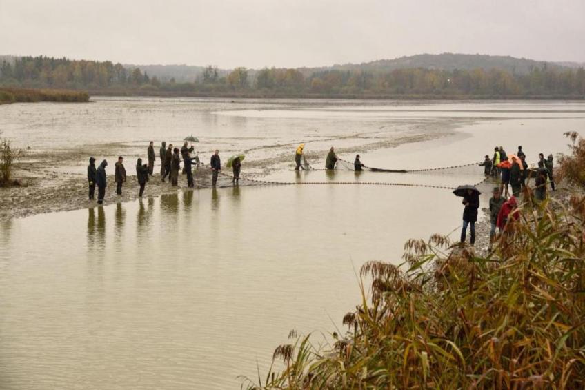 Maison de vacances - NETTANCOURT - foto 33