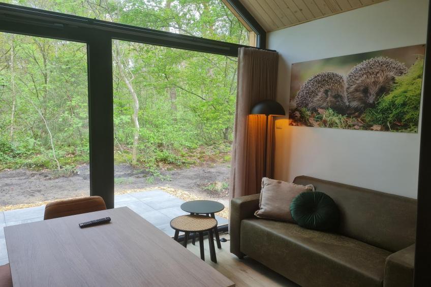 Tiny house | 2-4 persoons - foto 2