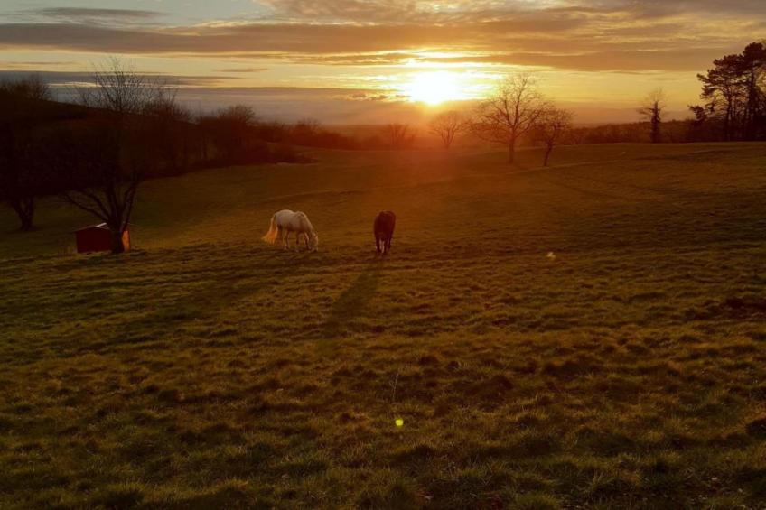 Ferienwohnung Am Marktplatz - foto 33
