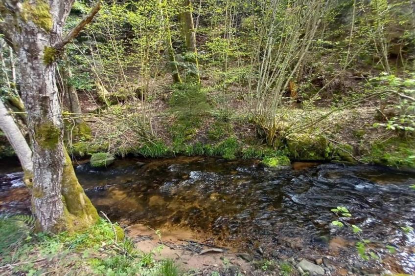 Chalet - TURQUESTEIN - foto 32