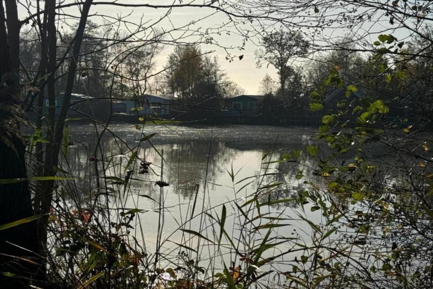 Singelhoeve - foto 36