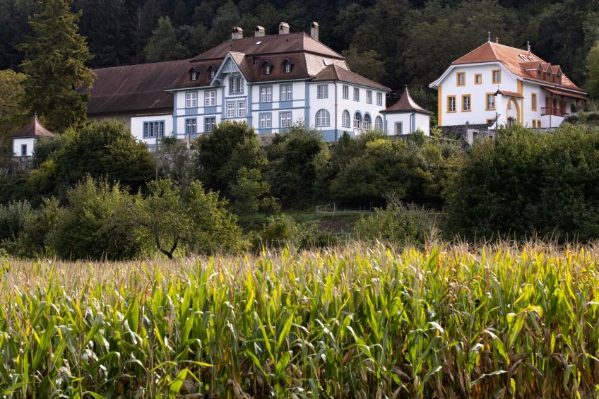 Chateau-Studio Bleu - foto 16