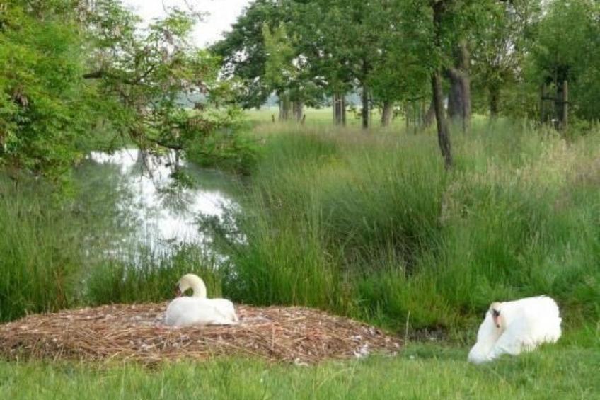 Wohnung auf dem Bauernhof - foto 32