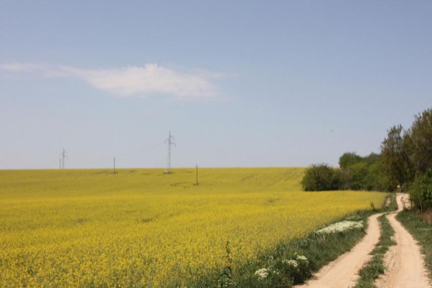 Haus mit großem Garten, Terrasse und Balkon - foto 20