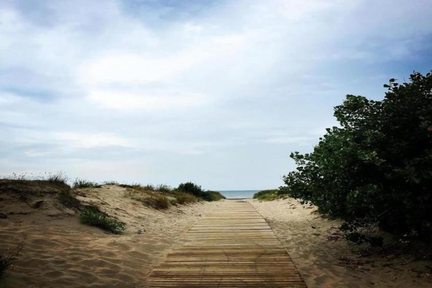 DEN OEVER V 0206GAR - foto 37