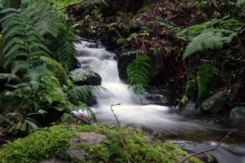 Casa Rural El Serrillal 1 Hermigua La Gomera - foto 29