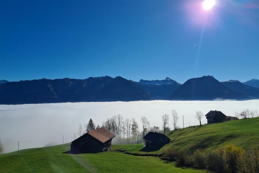 Stockenmatt Haus 2, Wohnung 22