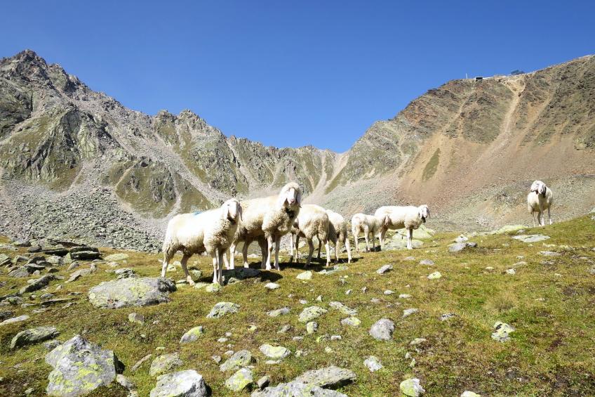 Chalet Black Stone - foto 8