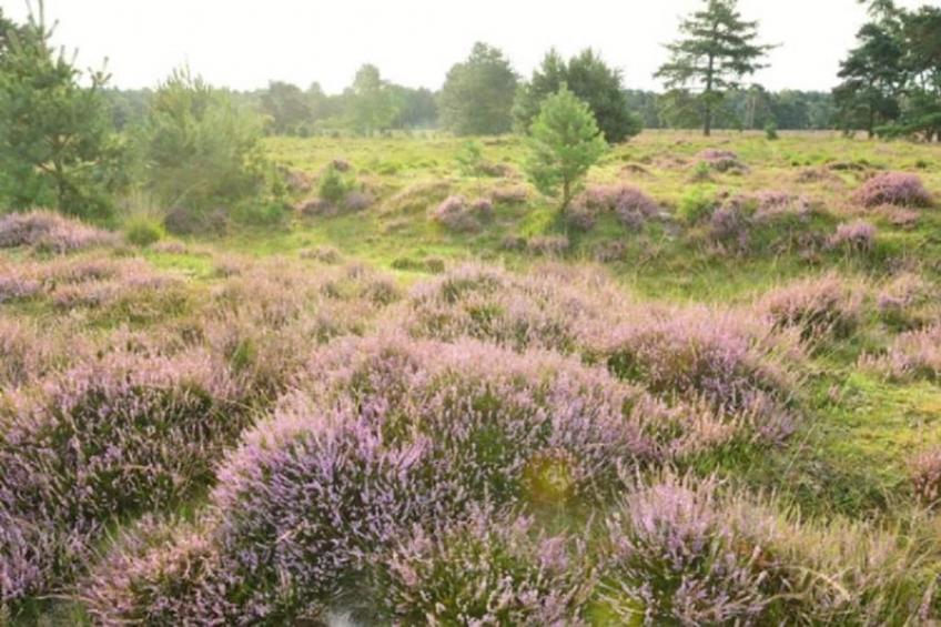 Parc de Kievit 6 - foto 30