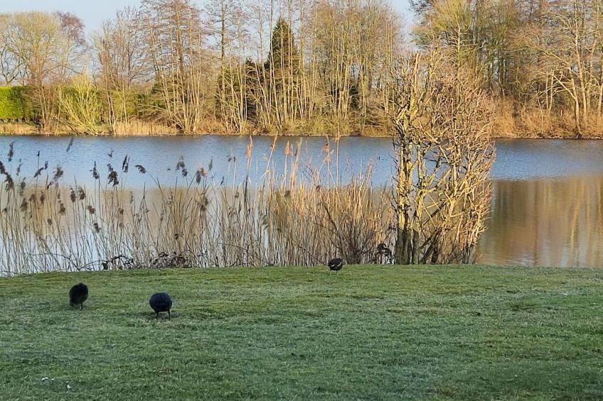 Landromantik mit traumhaftem Seeblick - foto 24