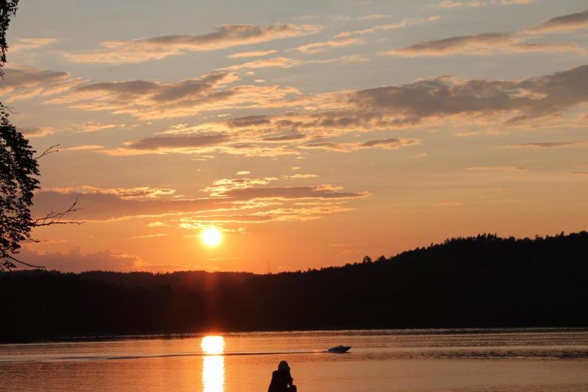 Rosenapartment - foto 27