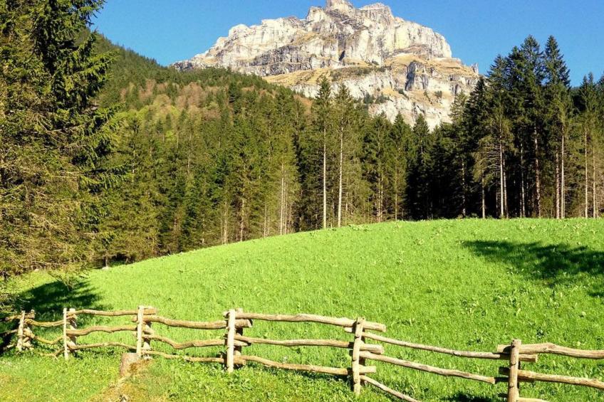 Chalet Bergmandli - foto 19