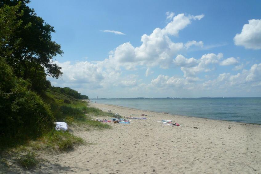 Charmante Wohnung in Dassow mit Terrasse und Grill - foto 32