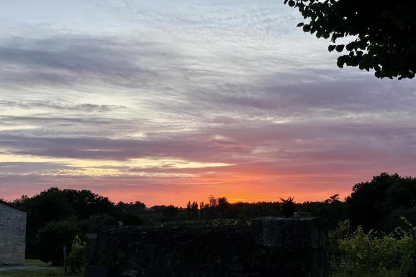 Maison de vacances - MONTFERRAND-DU-PÉRIGORD - foto 37
