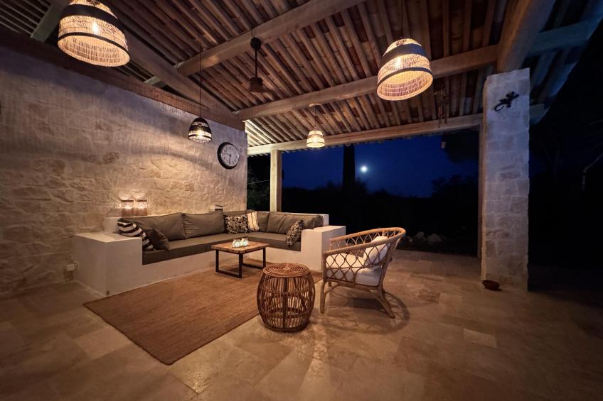 Les Palmiers - foto 17