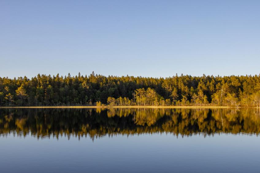 Hölick Minichalet 4 - foto 38