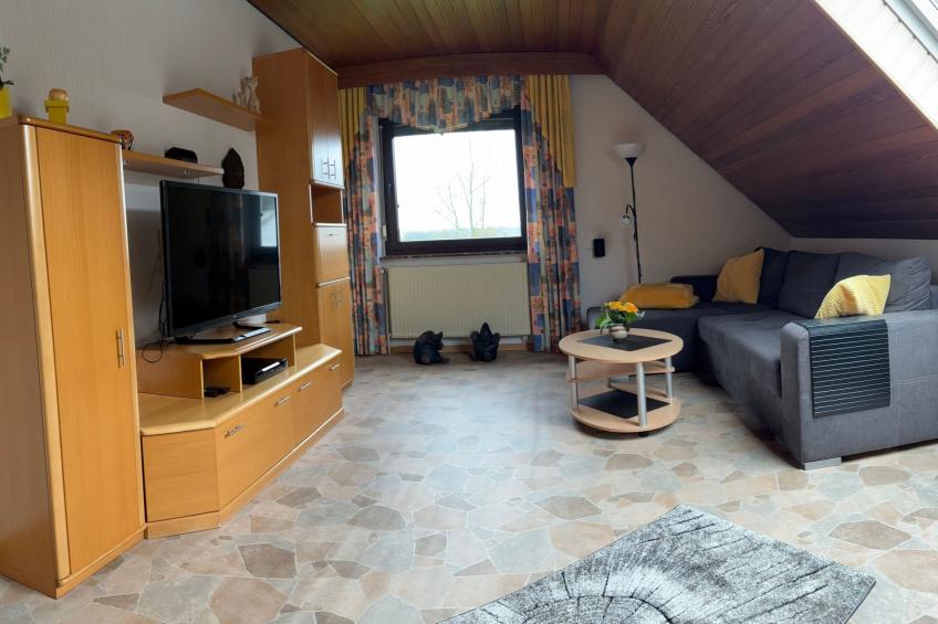 mit großer Dachterrasse - foto 5